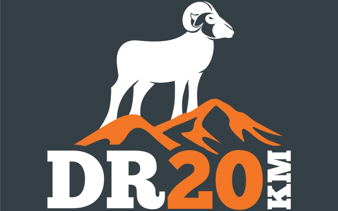 DalesRunner 20km