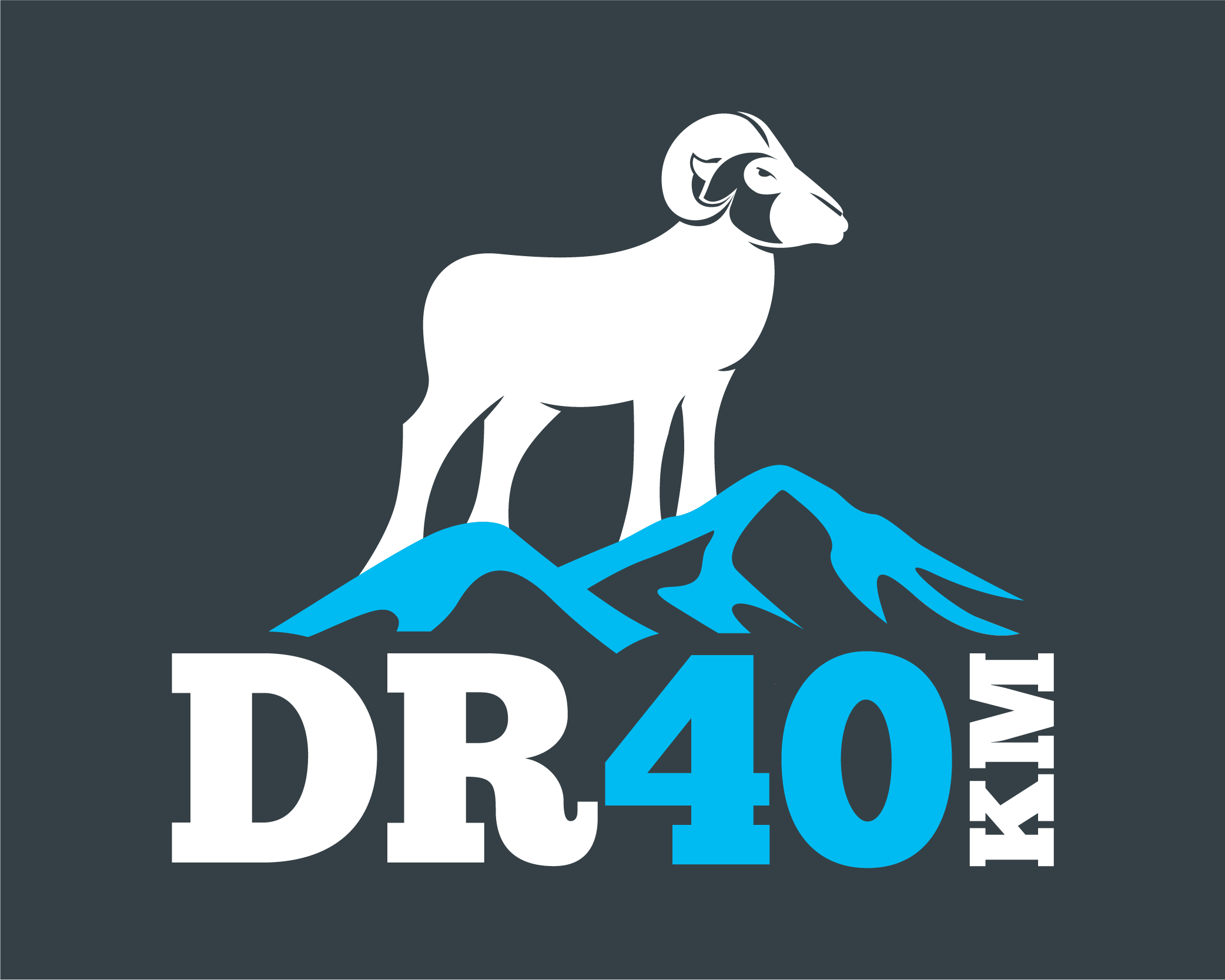 DalesRunner 40km