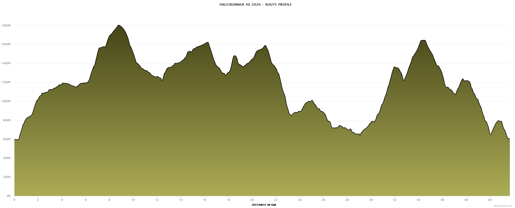 dr40_25_profile